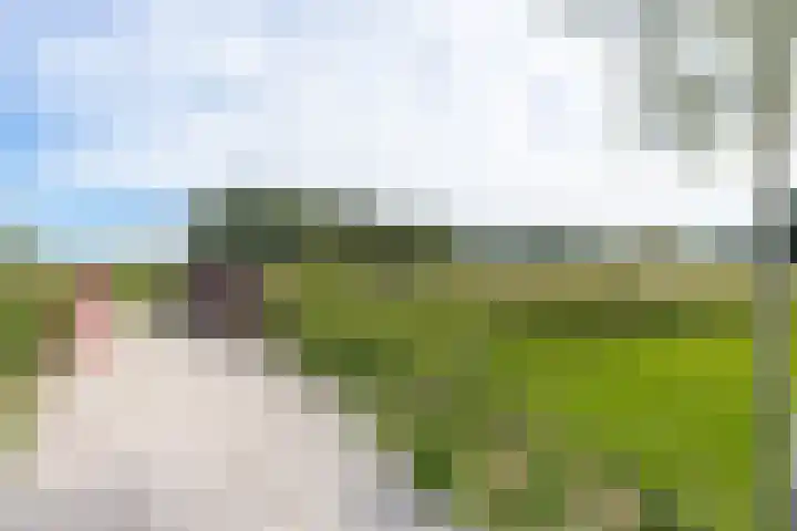 Kordiastraat 3 Kerkdriel thumbnail 52