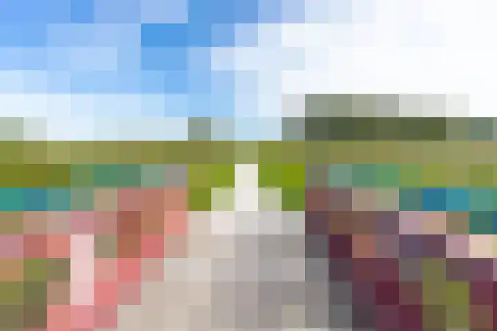 Kordiastraat 3 Kerkdriel thumbnail 53