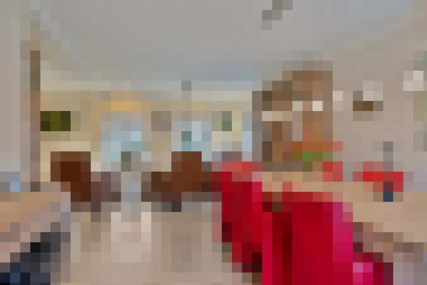 Koren 5 Mierlo thumbnail 15