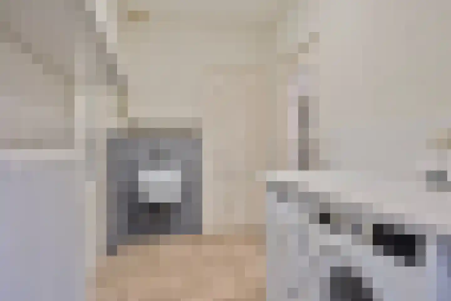 Koren 5 Mierlo thumbnail 20