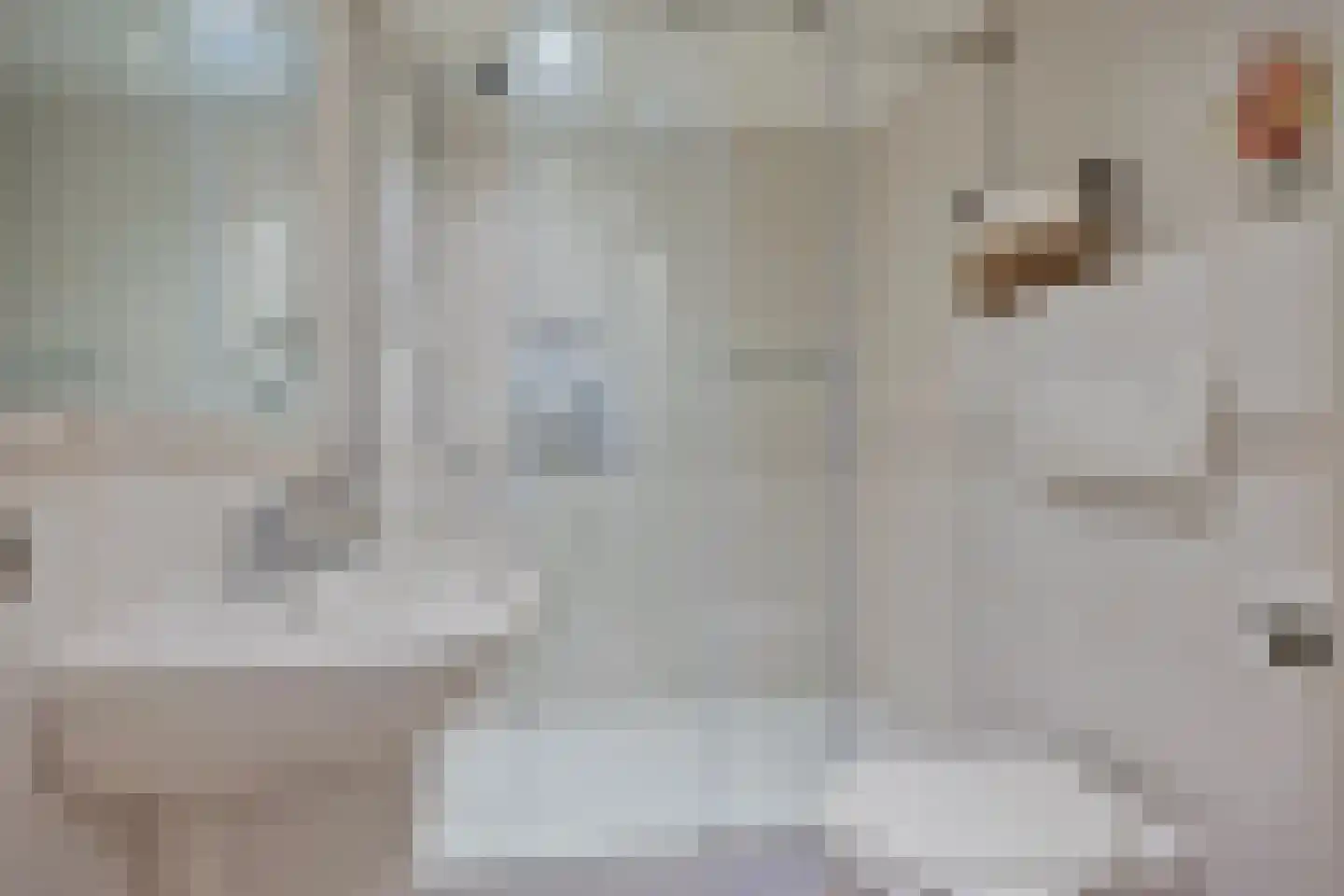 Koren 5 Mierlo thumbnail 27