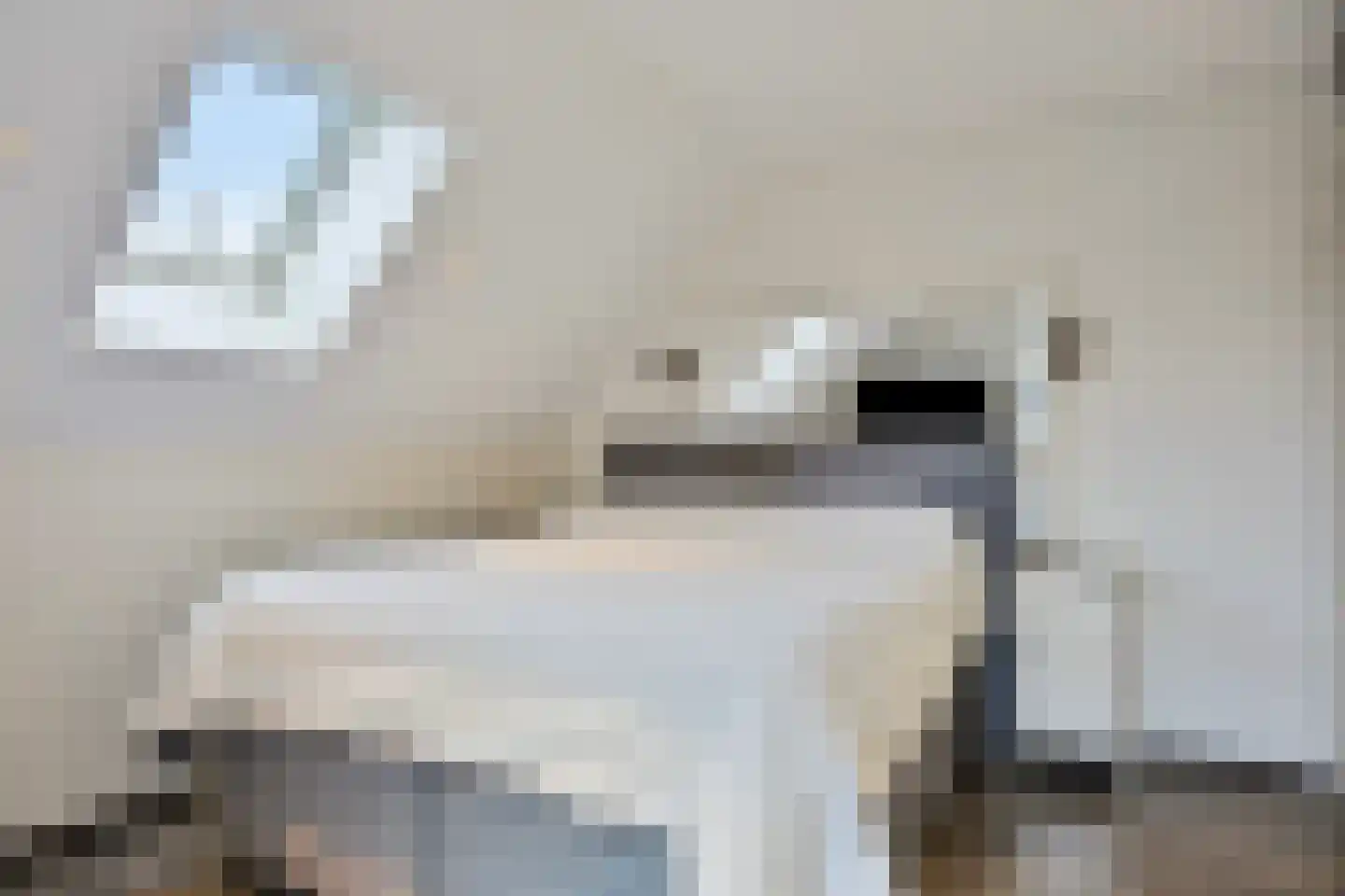 Koren 5 Mierlo thumbnail 31