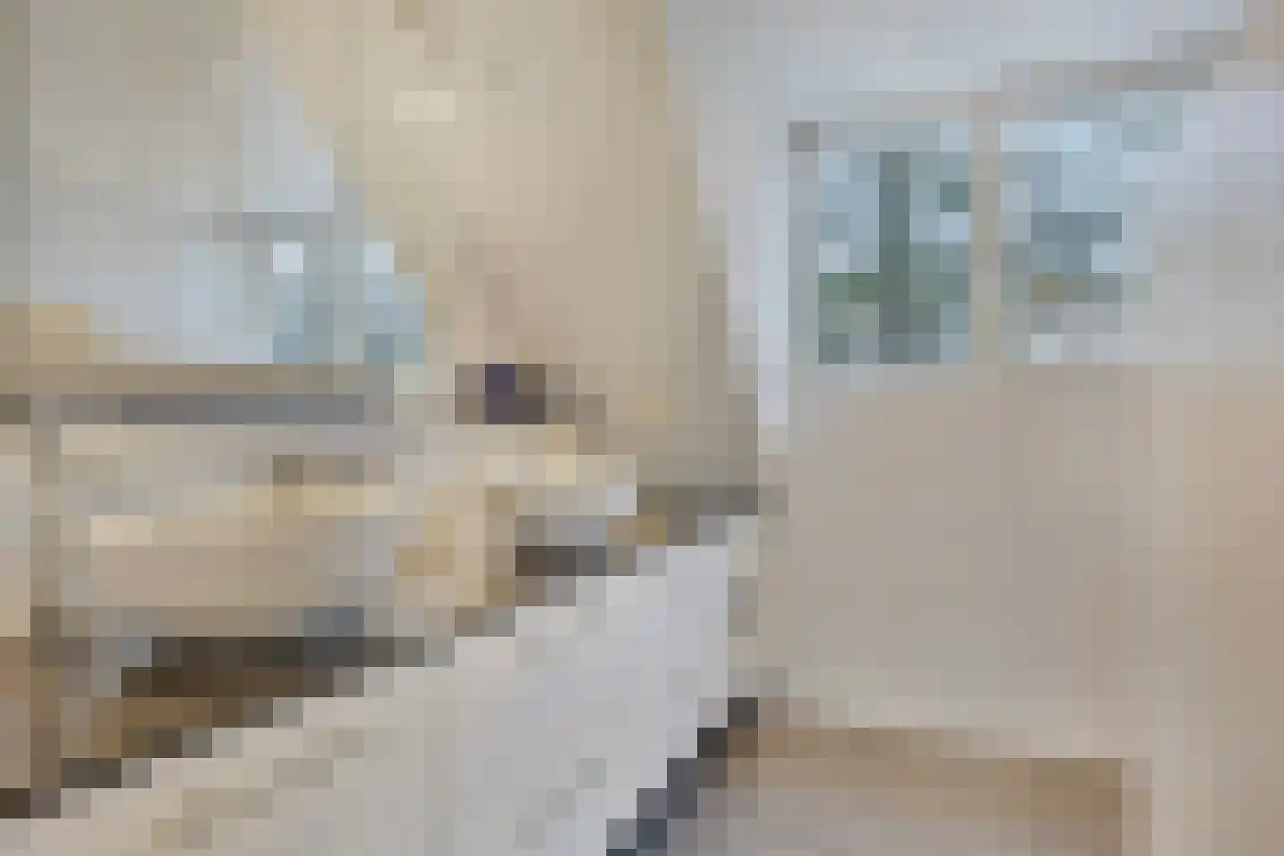 Koren 5 Mierlo thumbnail 33