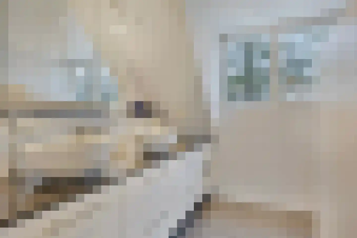 Koren 5 Mierlo thumbnail 33