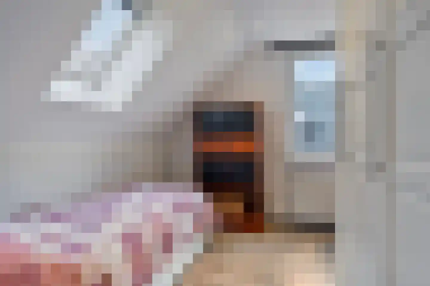 Koren 5 Mierlo thumbnail 36