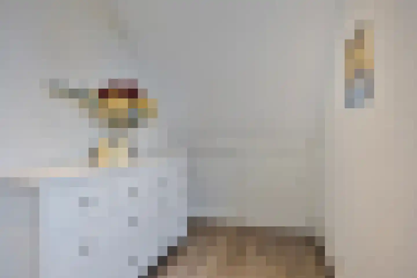 Koren 5 Mierlo thumbnail 37
