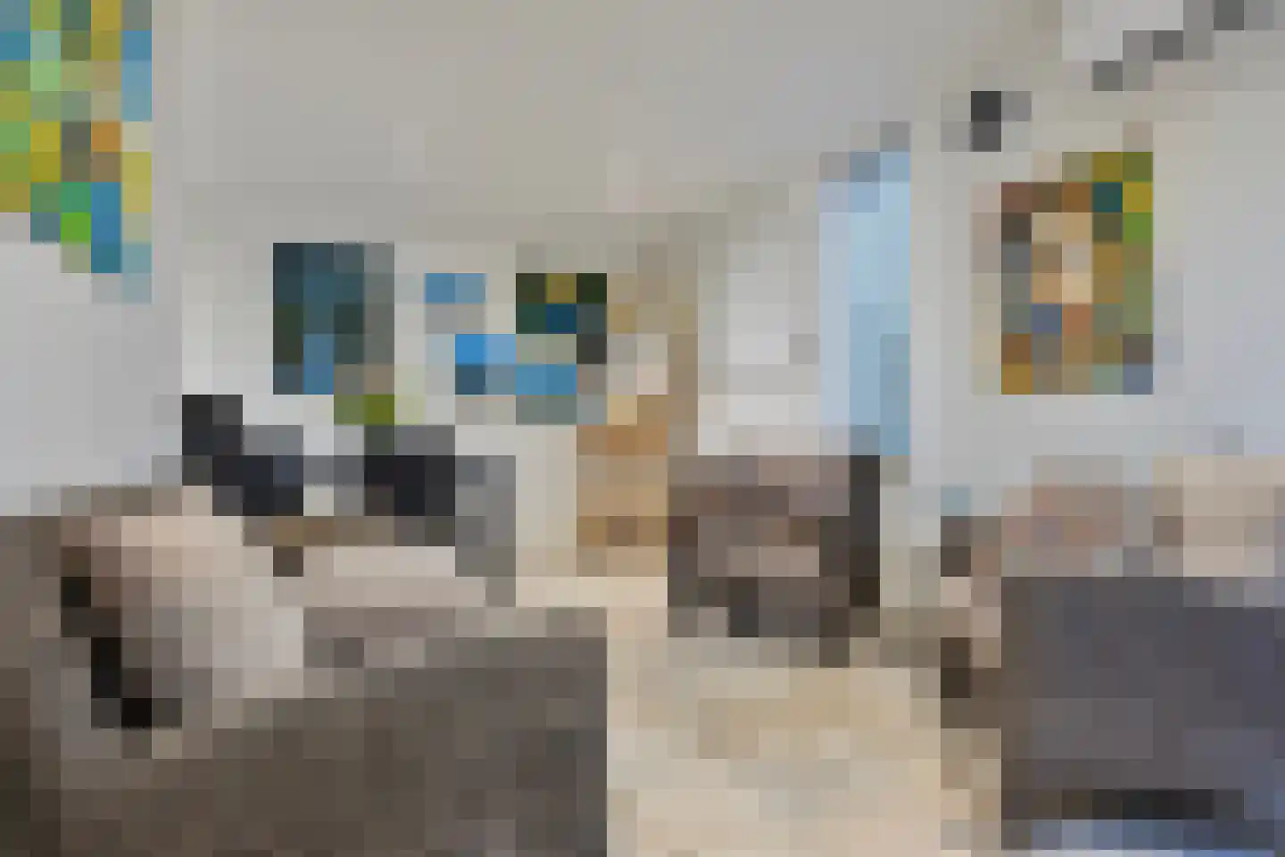 Koren 5 Mierlo thumbnail 4