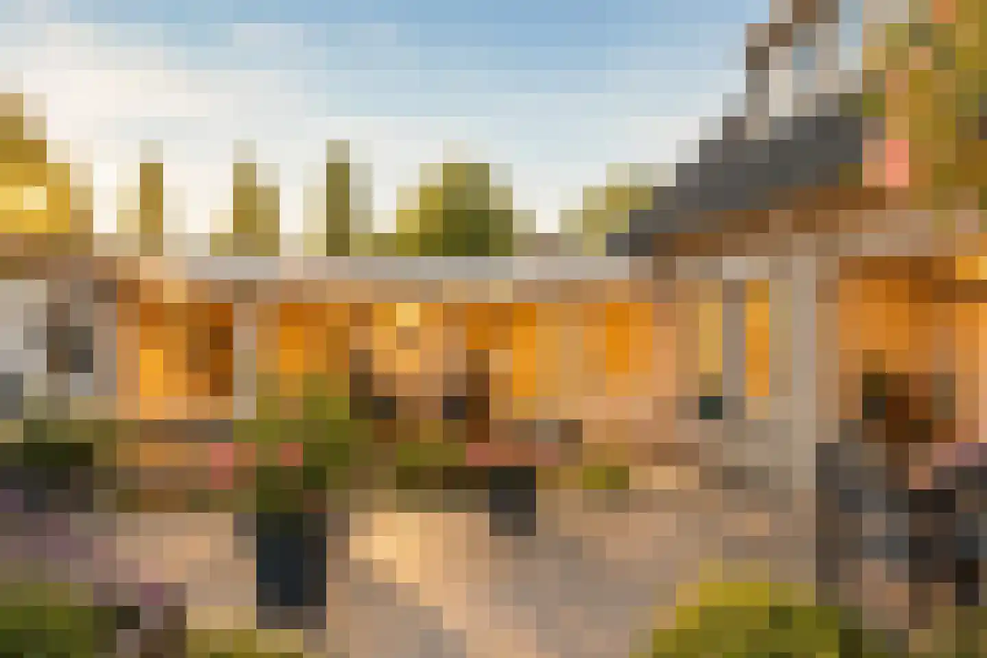 Koren 5 Mierlo thumbnail 40