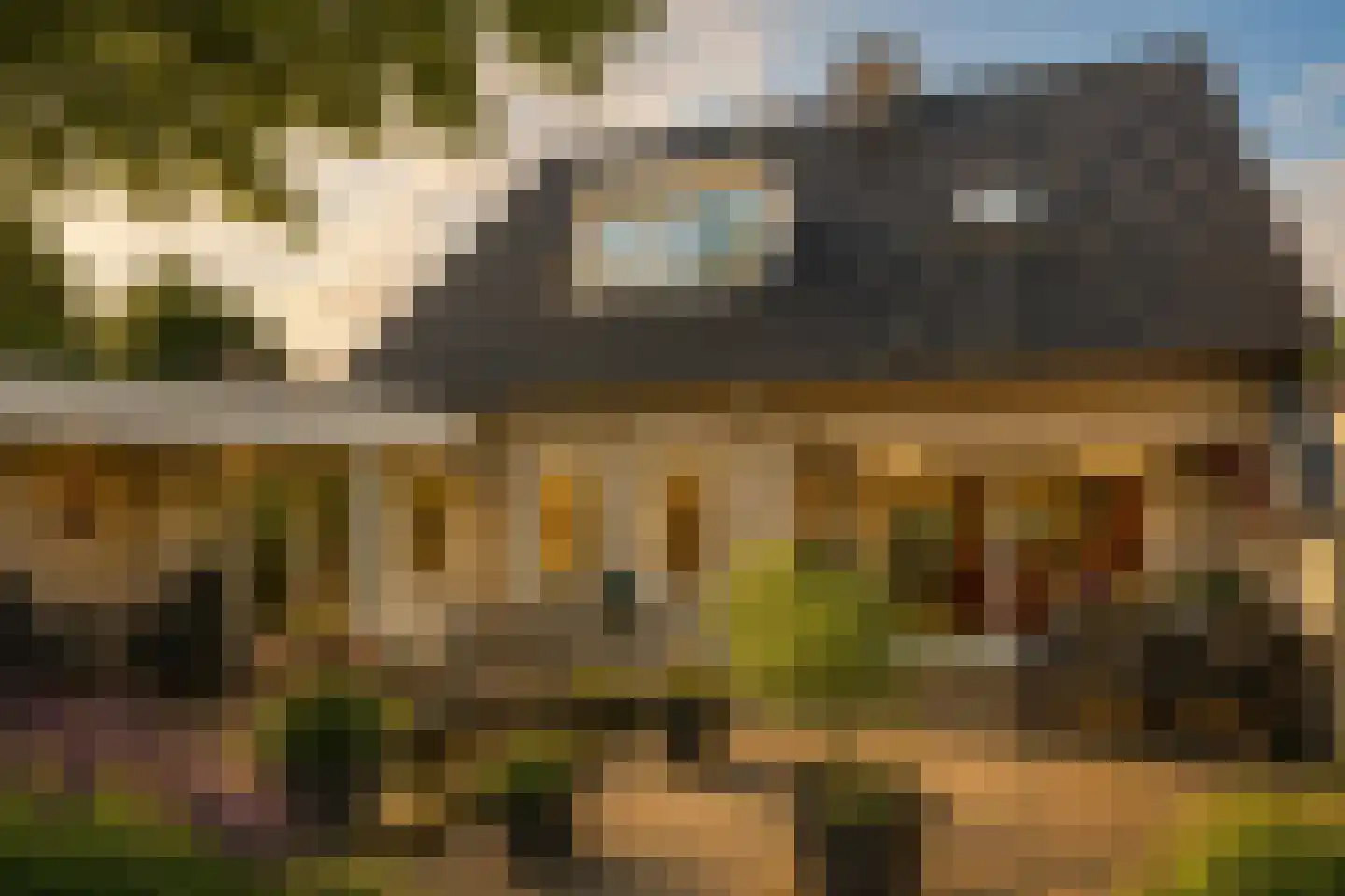 Koren 5 Mierlo thumbnail 41