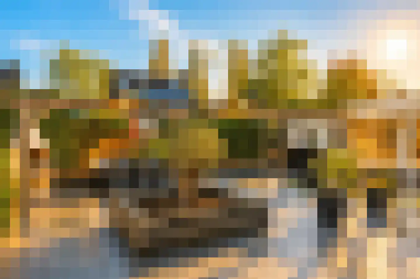 Koren 5 Mierlo thumbnail 42