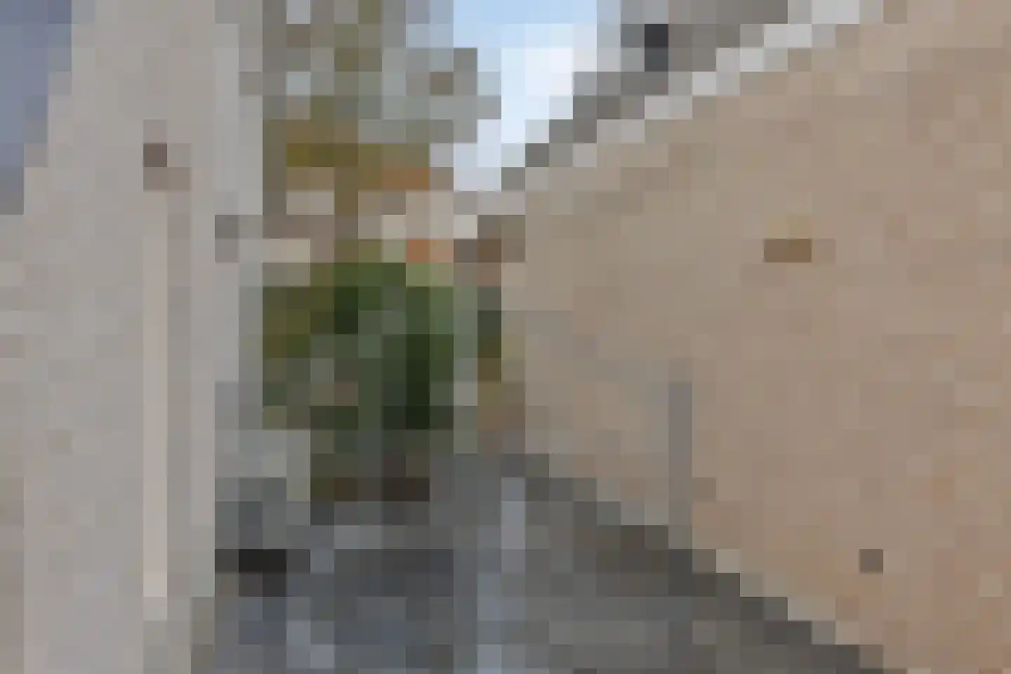 Koren 5 Mierlo thumbnail 45