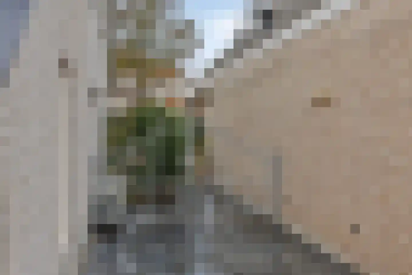 Koren 5 Mierlo thumbnail 45