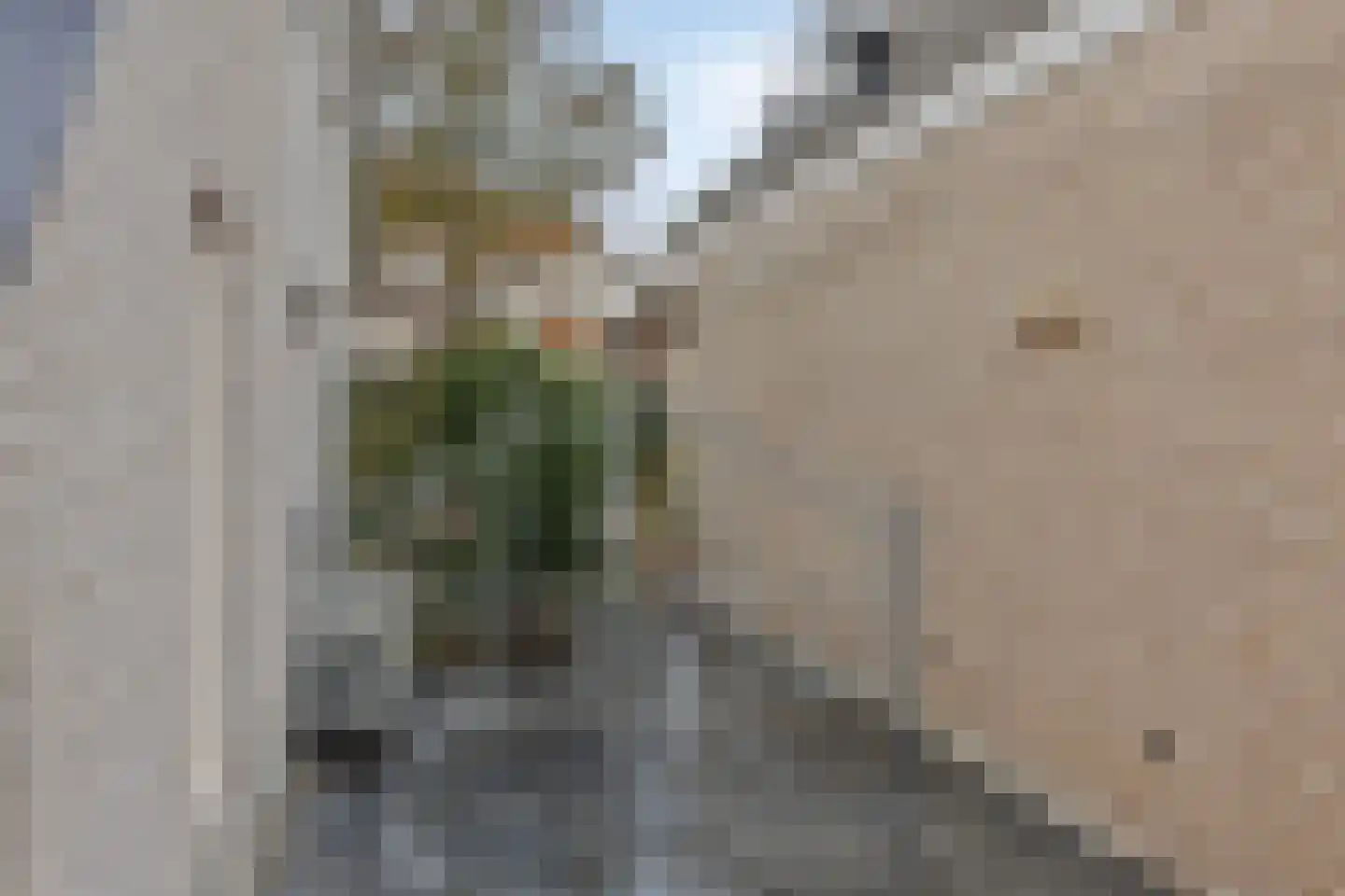 Koren 5 Mierlo thumbnail 45