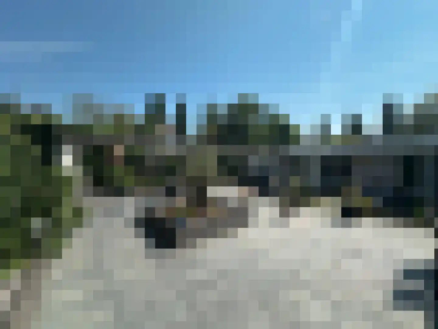 Koren 5 Mierlo thumbnail 49
