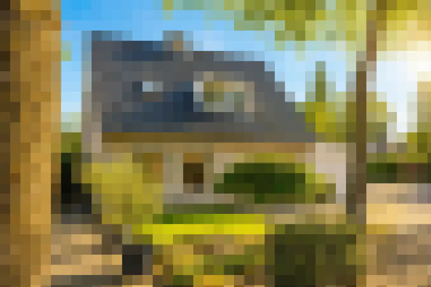 Koren 5 Mierlo thumbnail 6