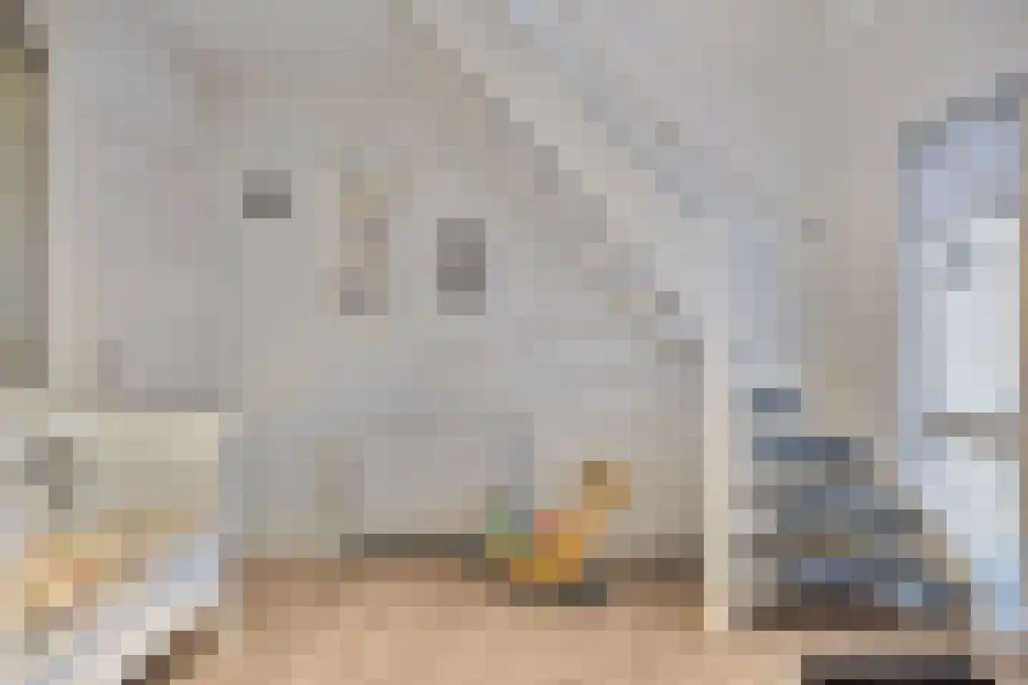 Koren 5 Mierlo thumbnail 9