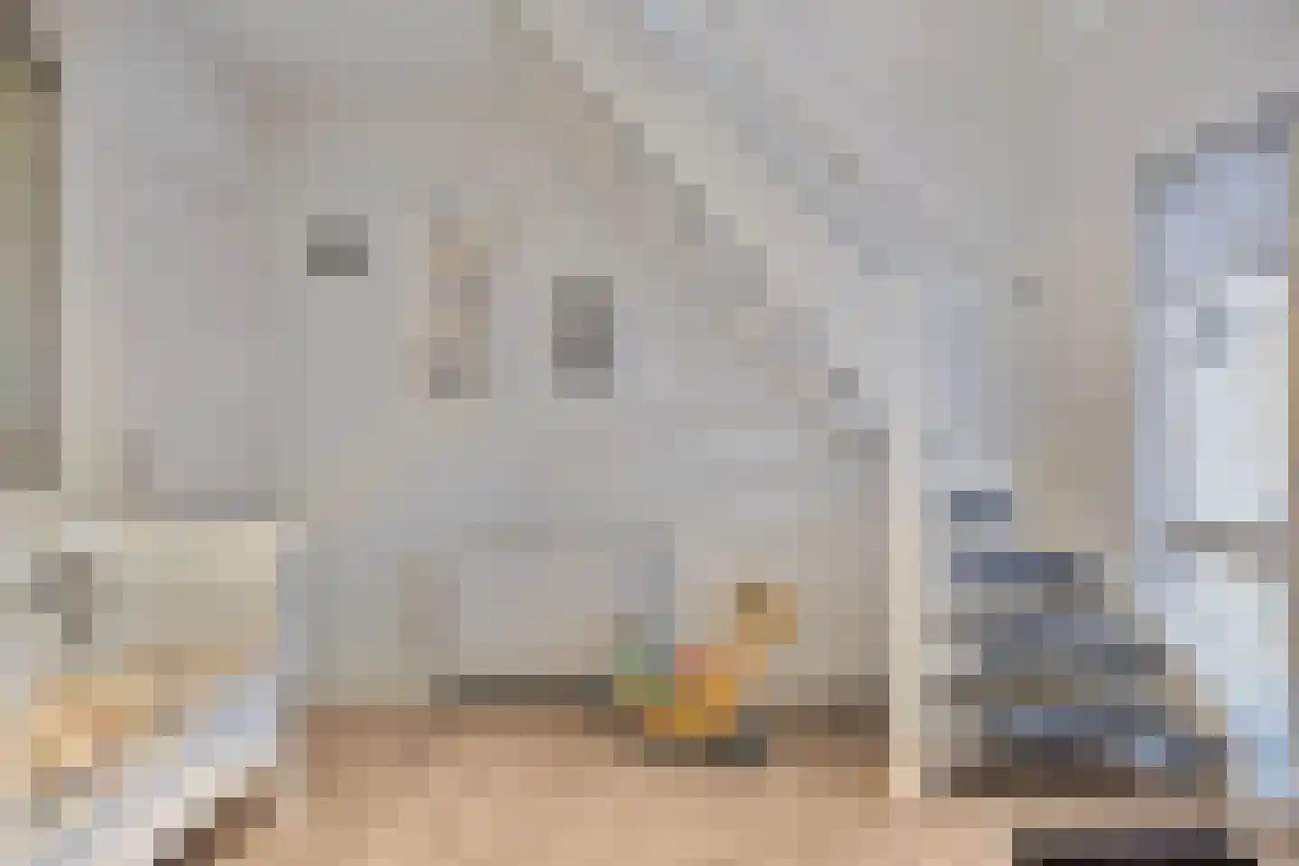 Koren 5 Mierlo thumbnail 9