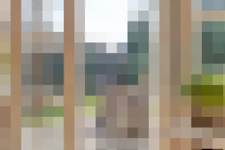 Korenaar 1 Wierden thumbnail 12