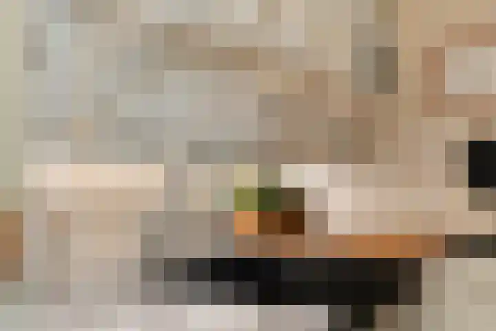 Korenaar 1 Wierden thumbnail 15
