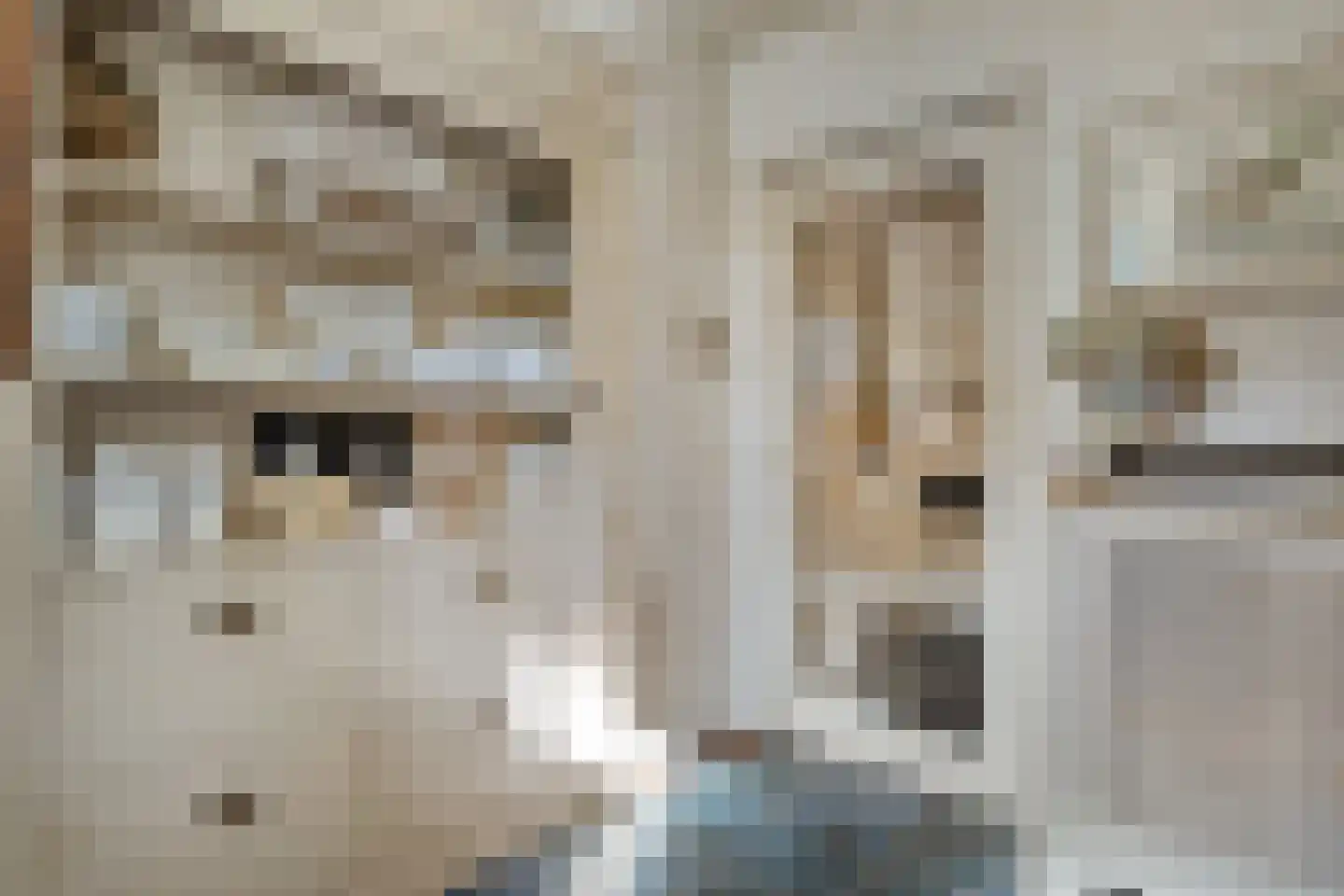 Korenaar 1 Wierden thumbnail 17