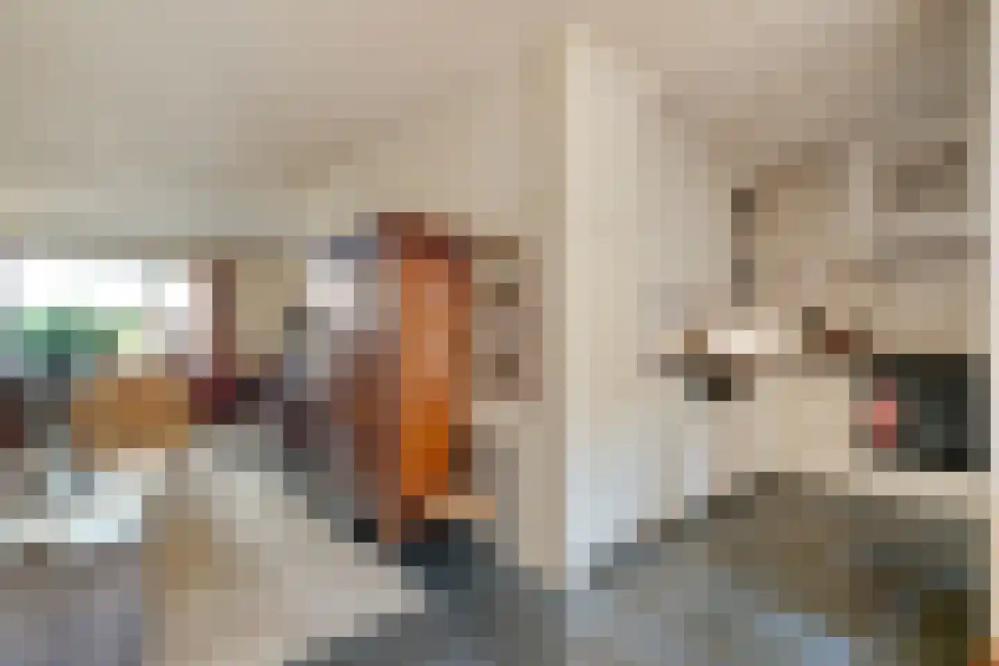 Korenaar 1 Wierden foto 3