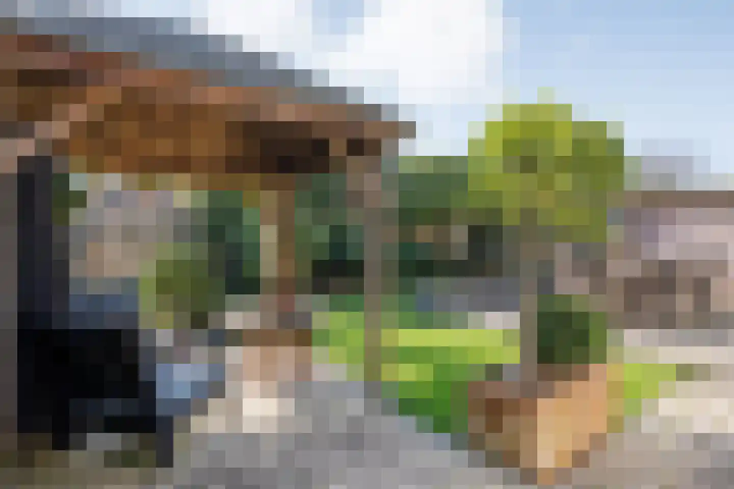 Korenaar 1 Wierden thumbnail 34