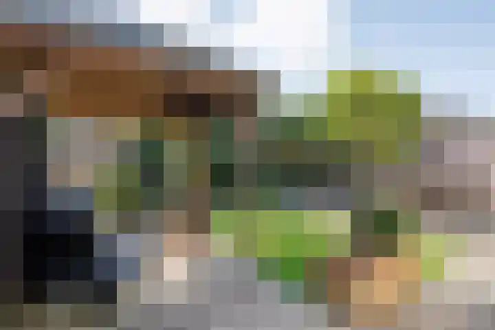 Korenaar 1 Wierden thumbnail 34