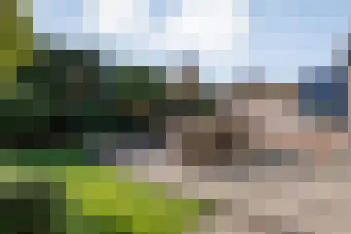 Korenaar 1 Wierden thumbnail 35