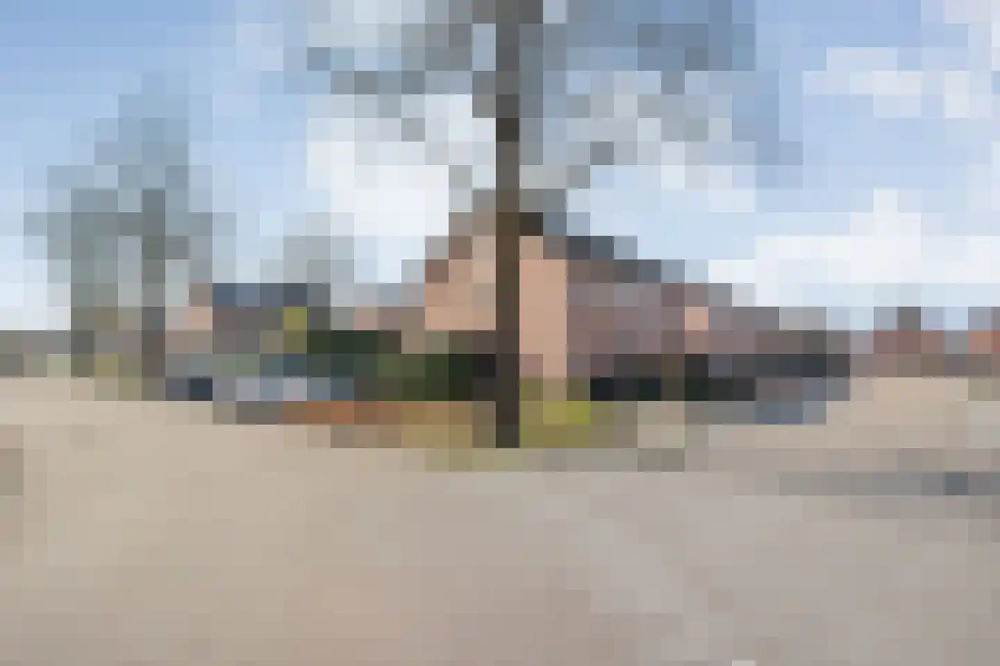 Korenaar 1 Wierden thumbnail 37