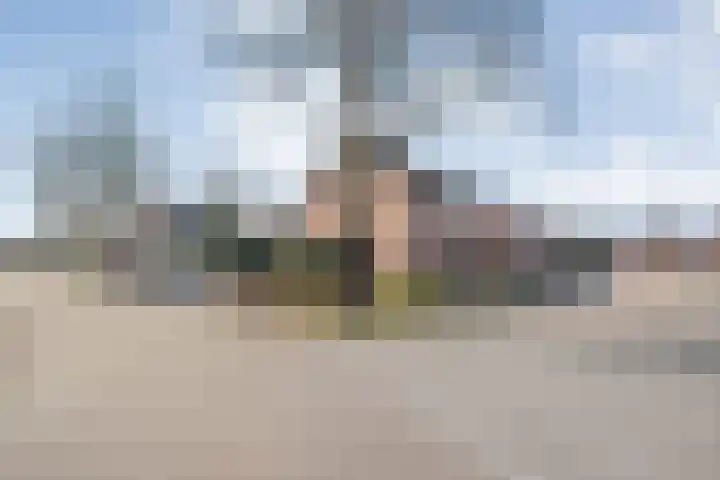 Korenaar 1 Wierden thumbnail 37