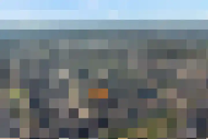 Korenaar 1 Wierden thumbnail 43