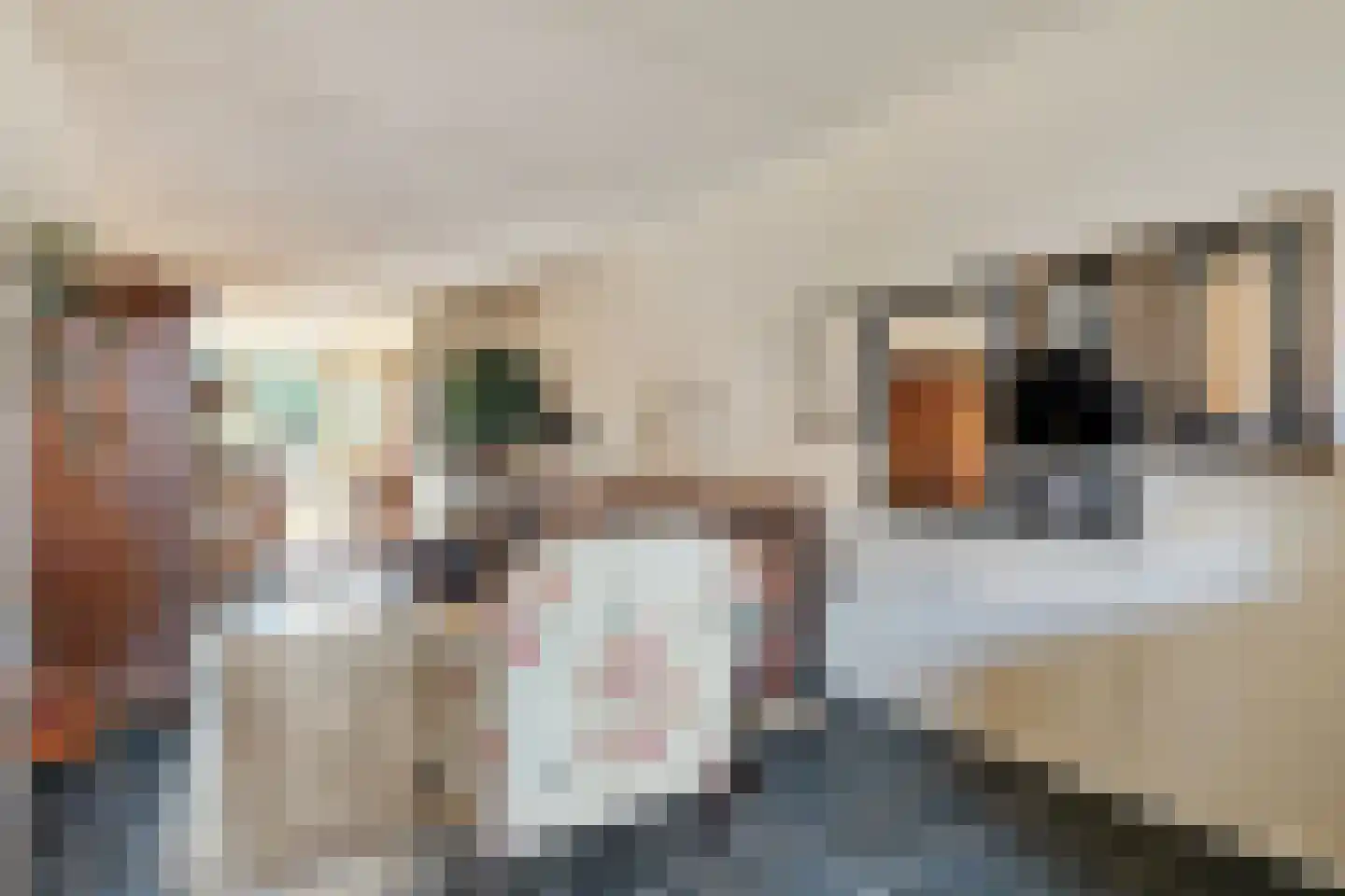 Korenaar 1 Wierden thumbnail 9
