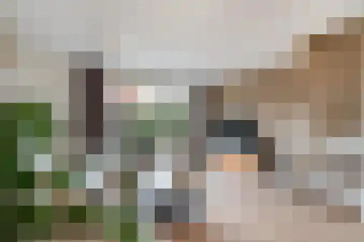 Korenaar 10 Weert thumbnail 11