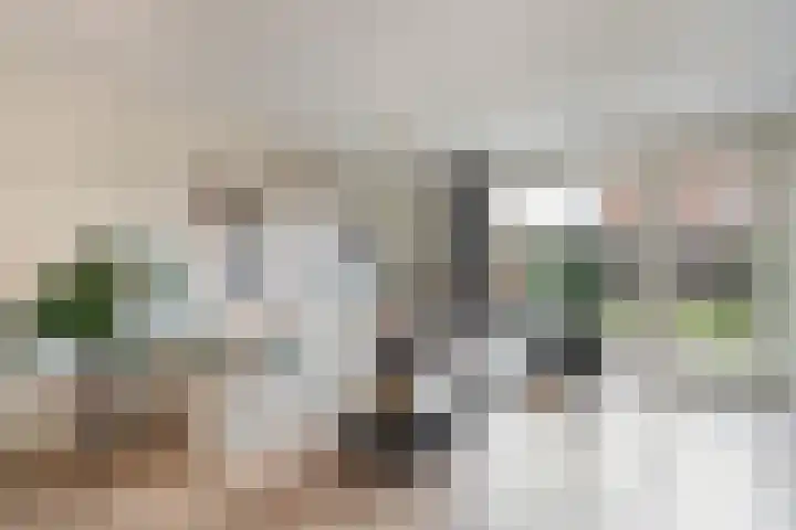 Korenaar 10 Weert thumbnail 12