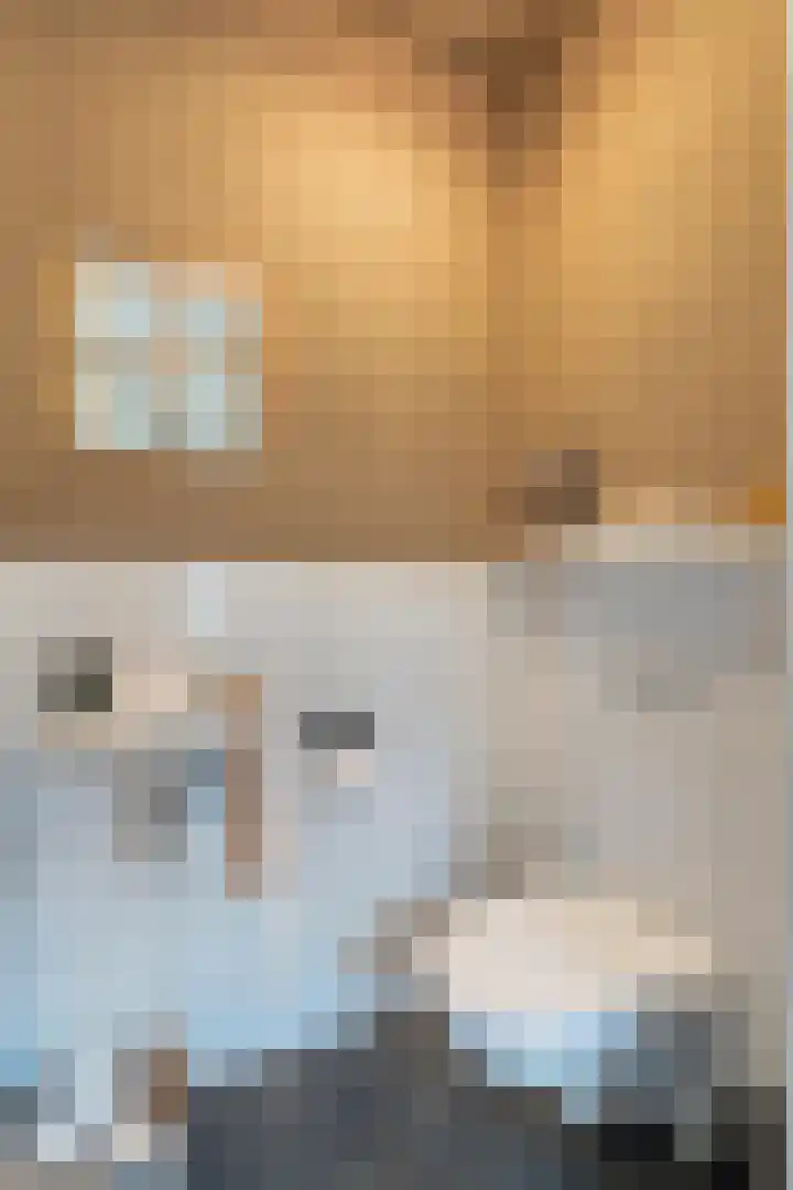 Korenaar 10 Weert thumbnail 18