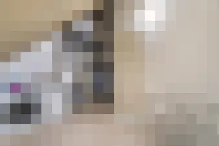Korenaar 10 Weert thumbnail 29