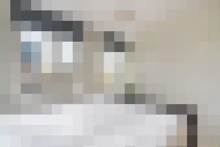 Korenaar 10 Weert thumbnail 4