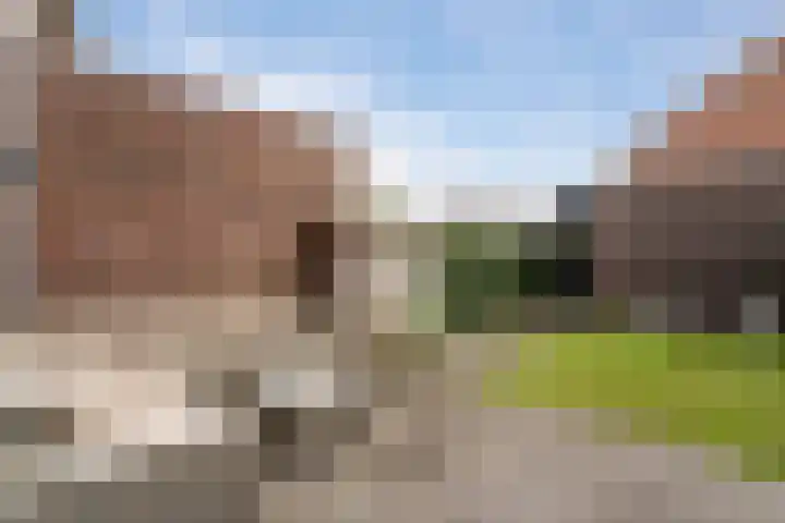 Korenaar 10 Weert thumbnail 5