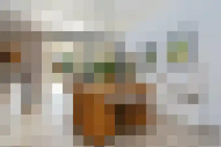 Korenaar 18 A Weert thumbnail 13