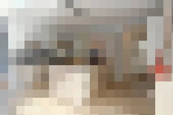 Korenaar 18 A Weert thumbnail 19