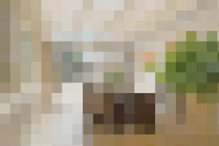 Korenaar 18 A Weert thumbnail 22
