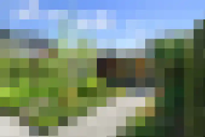Korenaar 18 A Weert thumbnail 29