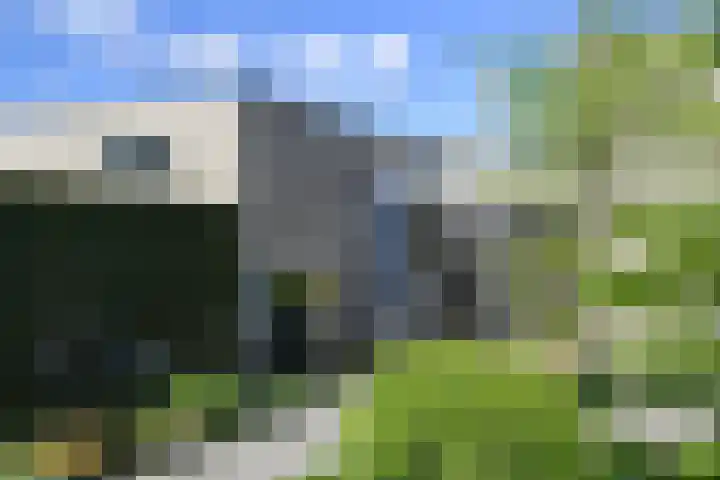 Korenaar 18 A Weert thumbnail 32