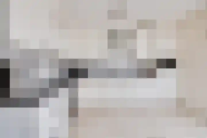 Korenaar 22 Beemte Broekland thumbnail 10