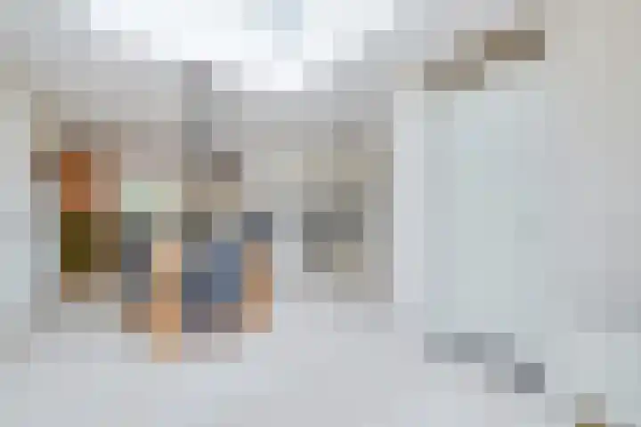 Korenaar 22 Beemte Broekland thumbnail 11
