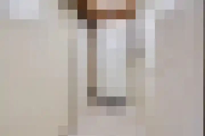 Korenaar 22 Beemte Broekland thumbnail 12