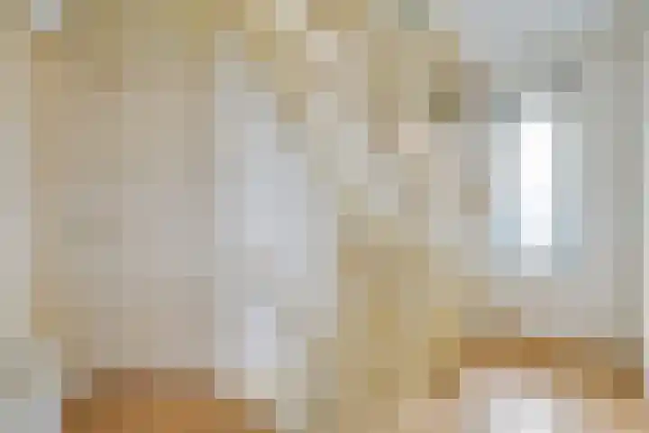 Korenaar 22 Beemte Broekland thumbnail 14