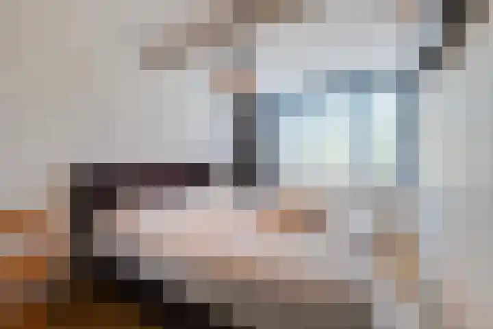 Korenaar 22 Beemte Broekland thumbnail 15
