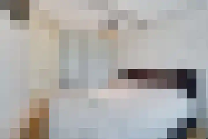 Korenaar 22 Beemte Broekland thumbnail 16
