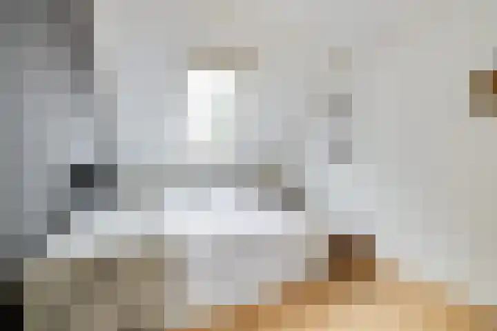 Korenaar 22 Beemte Broekland thumbnail 19